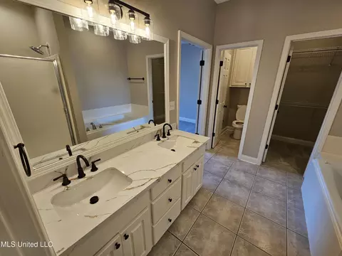 Bath - 338 Cherry Bark Dr, Brandon, MS 39047 photo 2 of 3