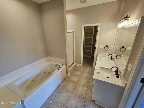 Bath - 338 Cherry Bark Dr, Brandon, MS 39047 photo 1 of 3