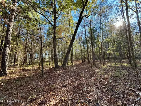 00 County Road 413, Houlka, MS 38850