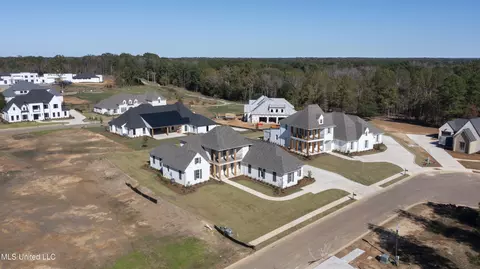 View/Area - 102 Parson Pl, Madison, MS 39110 photo 1 of 4