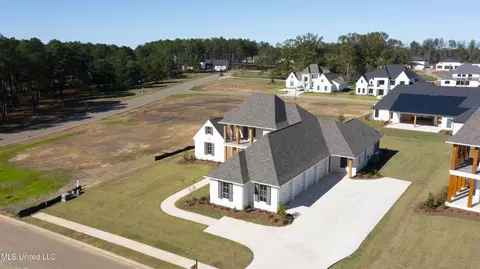 View/Area - 102 Parson Pl, Madison, MS 39110 photo 2 of 4