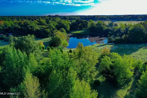 6988 Tate Panola Road Rd, Como, MS 38619 photo 9