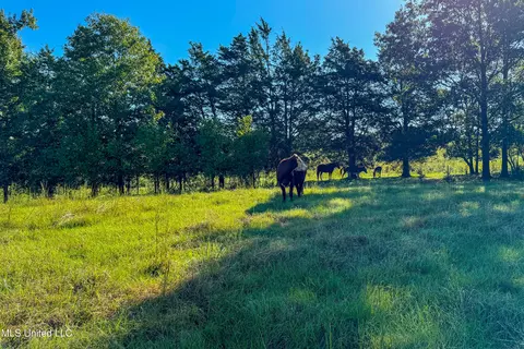 6988 Tate Panola Road Rd, Como, MS 38619 photo 27