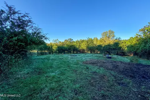 6988 Tate Panola Road Rd, Como, MS 38619 photo 16
