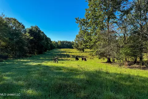 6988 Tate Panola Road Rd, Como, MS 38619 photo 29