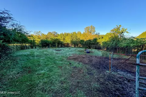6988 Tate Panola Road Rd, Como, MS 38619 photo 14