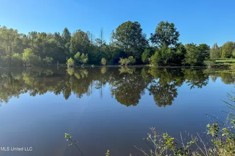 6988 Tate Panola Road Rd, Como, MS 38619 photo 19