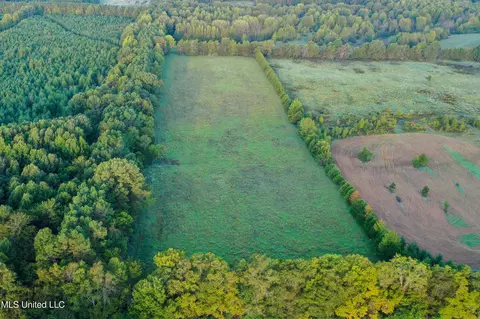 6988 Tate Panola Road Rd, Como, MS 38619 photo 7