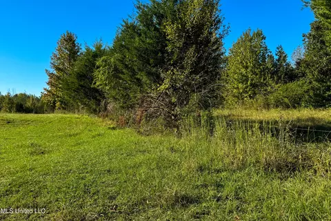 6988 Tate Panola Road Rd, Como, MS 38619 photo 23