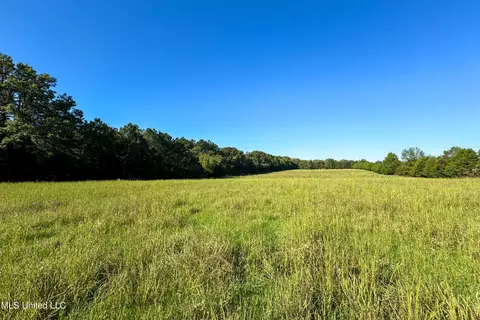 6988 Tate Panola Road Rd, Como, MS 38619 photo 31