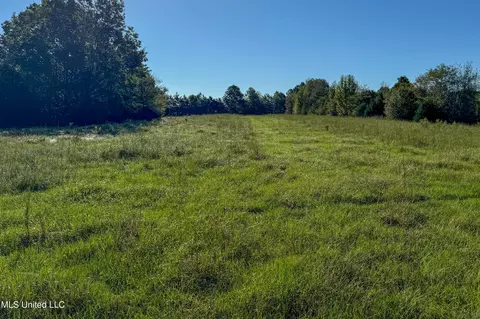 6988 Tate Panola Road Rd, Como, MS 38619 photo 25