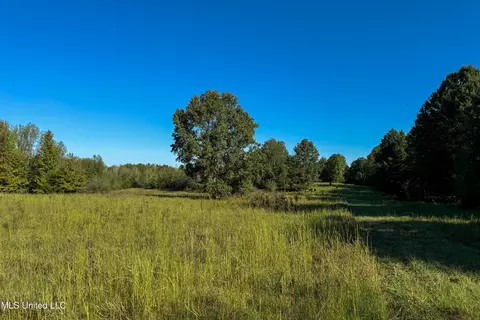 6988 Tate Panola Road Rd, Como, MS 38619 photo 28