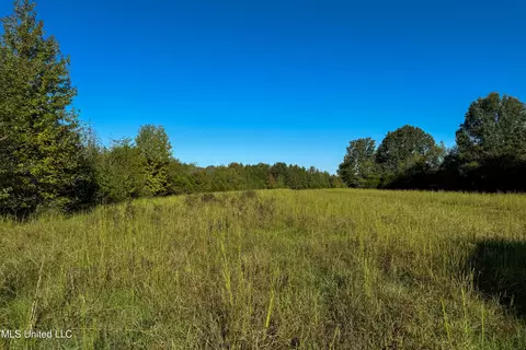 6988 Tate Panola Road Rd, Como, MS 38619 photo 26