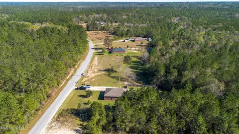 View/Area - 421 M P Parker Rd, Perkinston, MS 39573 photo 10 of 12