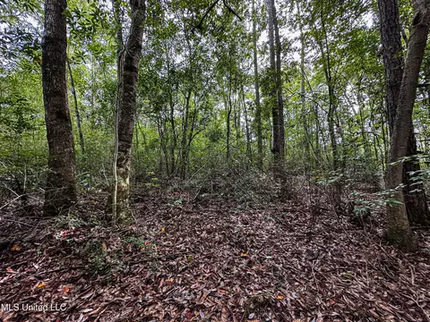 03 Oneal Rd, Vancleave, MS 39565 photo 12