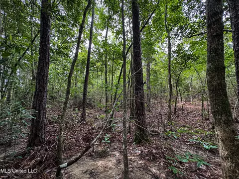 03 Oneal Rd, Vancleave, MS 39565 photo 14