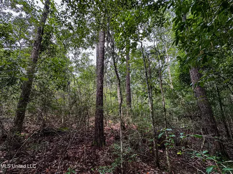 03 Oneal Rd, Vancleave, MS 39565 photo 15