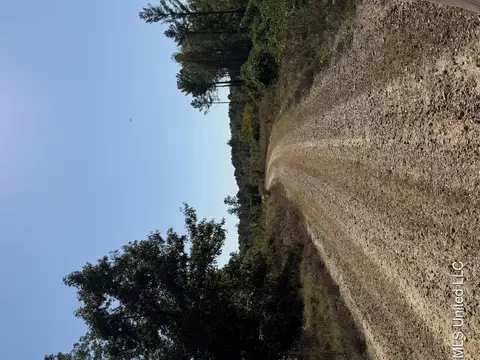 Off Highway 65, Coffeeville, MS 38922
