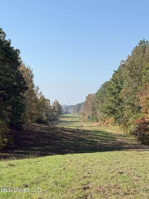 Off Highway 7, Coffeeville, MS 38922