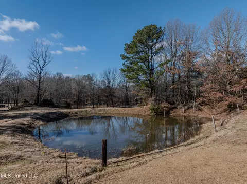View/Area - 3305 N Robertson Rd, Nesbit, MS 38651 photo 1 of 9