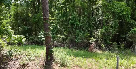 170 Flowers Rd, Kilmichael, MS 39747 photo 7