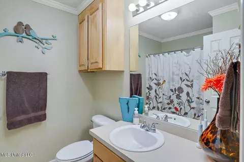 Bath - 570 Lincolns Dr, Brandon, MS 39042 photo 3 of 3
