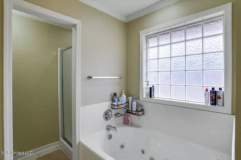 Bath - 570 Lincolns Dr, Brandon, MS 39042 photo 2 of 3