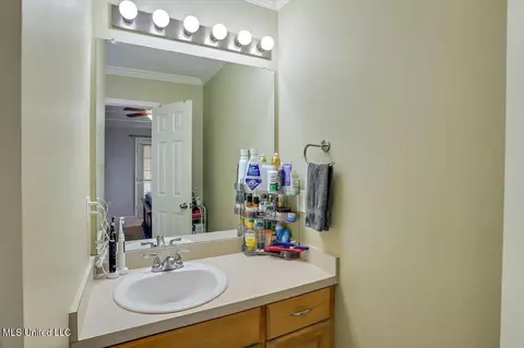 Bath - 570 Lincolns Dr, Brandon, MS 39042 photo 1 of 3