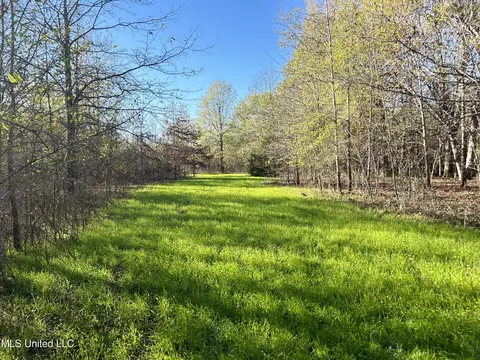 W Mound Bayou Road, Mound Bayou, MS 38762