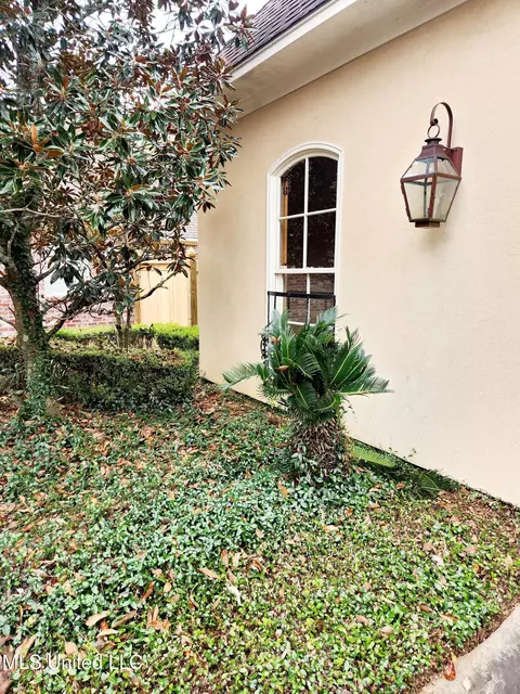 Exterior - 205 Lafayette Ln, Flowood, MS 39232 photo 3 of 10