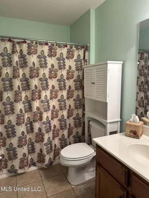 Bath - 1686 Tara Dr, Hernando, MS 38632 photo 3 of 5