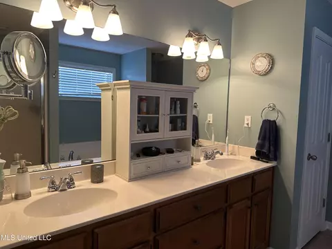 Bath - 1686 Tara Dr, Hernando, MS 38632 photo 1 of 5