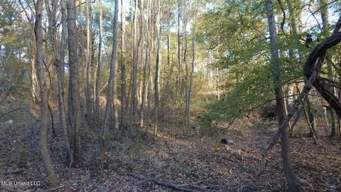 6777 4, Senatobia, MS 38668 photo 18