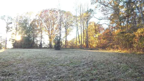 6777 4, Senatobia, MS 38668 photo 3