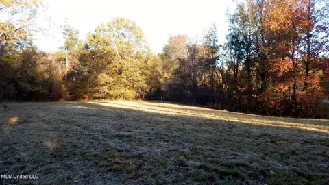 6777 4, Senatobia, MS 38668 photo 6