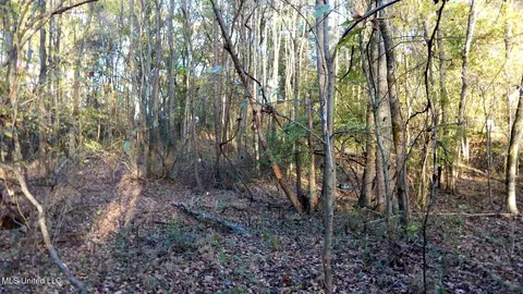 6777 4, Senatobia, MS 38668 photo 17