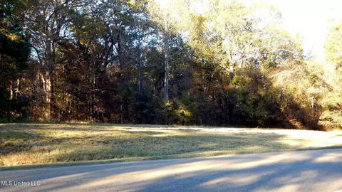 6777 4, Senatobia, MS 38668 photo 5