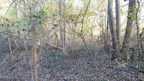 6777 4, Senatobia, MS 38668 photo 15