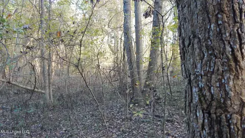 6777 4, Senatobia, MS 38668 photo 16
