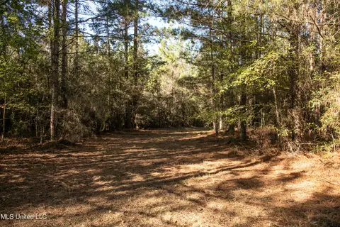 Union Road, Hazlehurst, MS 39083 photo 3