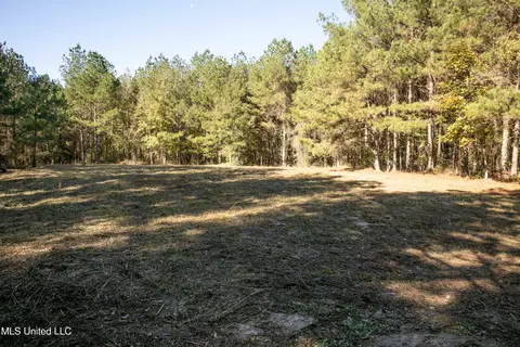 Union Road, Hazlehurst, MS 39083 photo 24