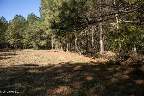 Union Road, Hazlehurst, MS 39083 photo 22