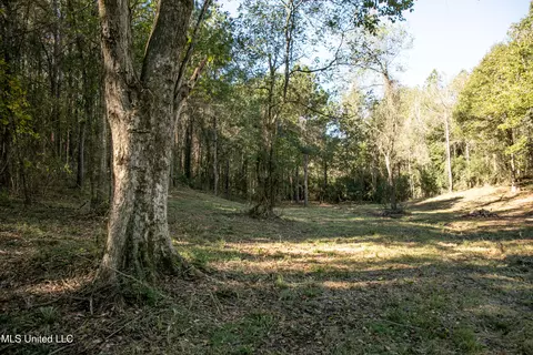 Union Road, Hazlehurst, MS 39083 photo 17