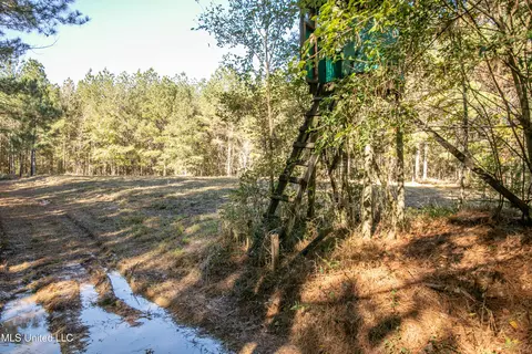 Union Road, Hazlehurst, MS 39083 photo 25