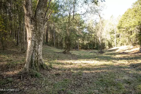 Union Road, Hazlehurst, MS 39083 photo 16