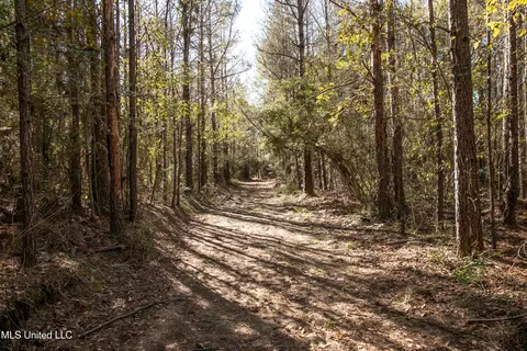 Union Road, Hazlehurst, MS 39083 photo 7