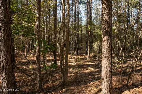 Union Road, Hazlehurst, MS 39083 photo 5
