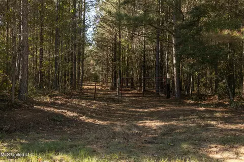 Union Road, Hazlehurst, MS 39083 photo 2