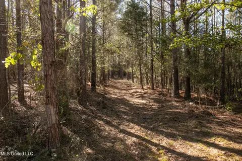 Union Road, Hazlehurst, MS 39083 photo 8