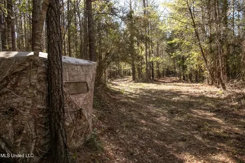 Union Road, Hazlehurst, MS 39083 photo 9